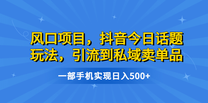 【副业项目6791期】风口项目，抖音今日话题玩法，引流到私域卖单品，一部手机实现日入500+-网赚资源网