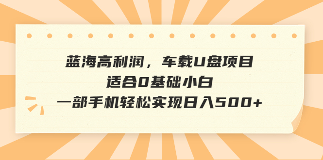 【副业项目6800期】蓝海高利润，车载U盘项目，适合0基础小白，一部手机轻松实现日入500+-网赚资源网