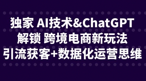 【副业项目6780期】独家 AI技术&ChatGPT解锁 跨境电商新玩法，引流获客+数据化运营思维-网赚资源网
