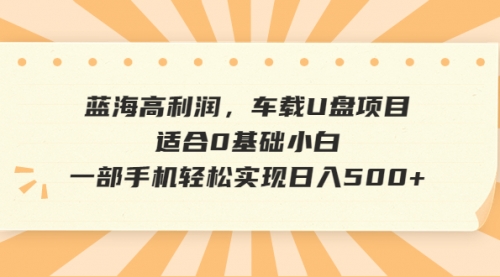 【副业项目6781期】蓝海高利润，车载U盘项目，适合0基础小白，一部手机轻松实现一天500+-网赚资源网
