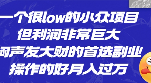 【副业项目6782期】一个很low的小众项目，但利润非常巨大，闷声发大财的首选副业，月入过万-网赚资源网