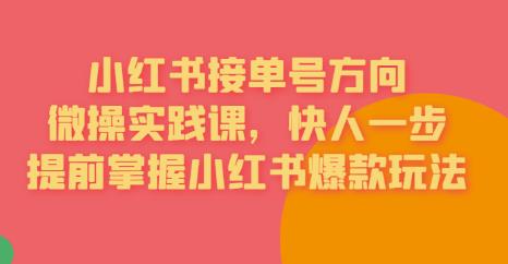 【副业项目6820期】接单号方向·小红书微操实践课，快人一步，提前掌握小红书爆款玩法-网赚资源网