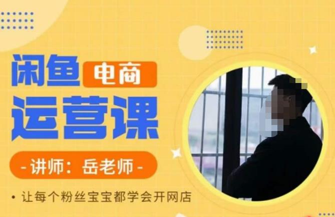 【副业项目6829期】岳老师·闲鱼电商运营课，让每个粉丝宝宝都学会开网店-网赚资源网