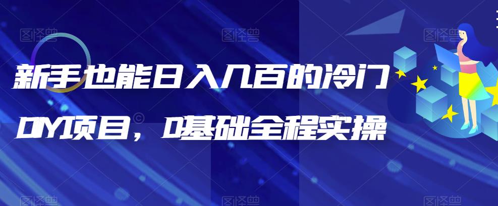 【副业项目6865期】新手也能日入几百的冷门DIY项目，0基础全程实操【揭秘】-网赚资源网