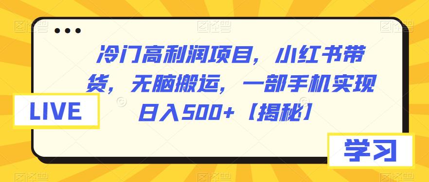 【副业项目6875期】冷门高利润项目，小红书带货，无脑搬运，一部手机实现日入500+【揭秘】-网赚资源网