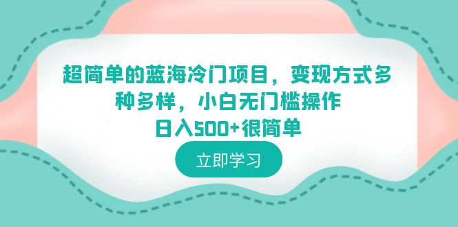 【副业项目6524期】超简单的蓝海冷门项目，变现方式多种多样，小白无门槛操作日入500+很简单-网赚资源网