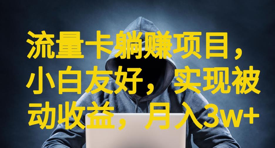 【副业项目6842期】流量卡躺赚项目，小白友好，开设后台，实现被动收益，只要出卡，就能一直赚钱，利润高昂【揭秘】-网赚资源网