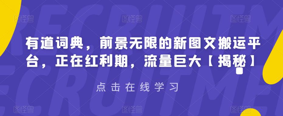 【副业项目6843期】有道词典，前景无限的新图文搬运平台，正在红利期，流量巨大【揭秘】-网赚资源网