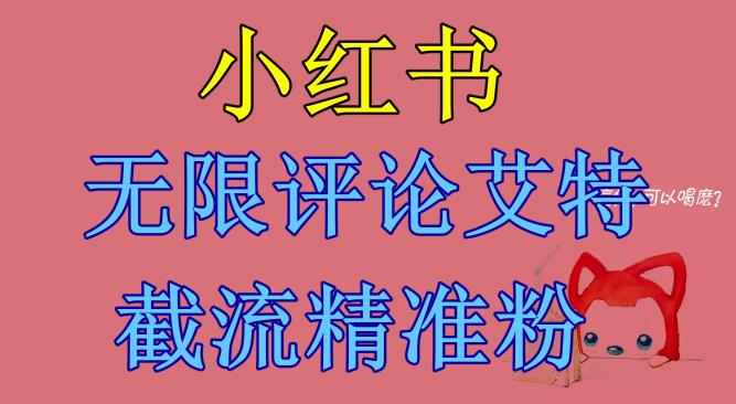 【副业项目6846期】小红书无限评论艾特截流精准粉（软件+教程）-网赚资源网