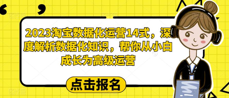 【副业项目6599期】2023淘宝数据化-运营 14式，深度解析数据化知识，帮你从小白成长为高级运营-网赚资源网
