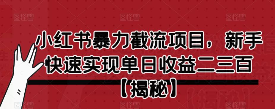 【副业项目6889期】小红书暴力截流项目，新手快速实现单日收益二三百【仅揭秘】-网赚资源网