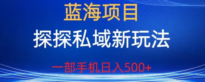 【副业项目6894期】蓝海项目，探探私域新玩法，一部手机日入500+很轻松【揭秘】-网赚资源网