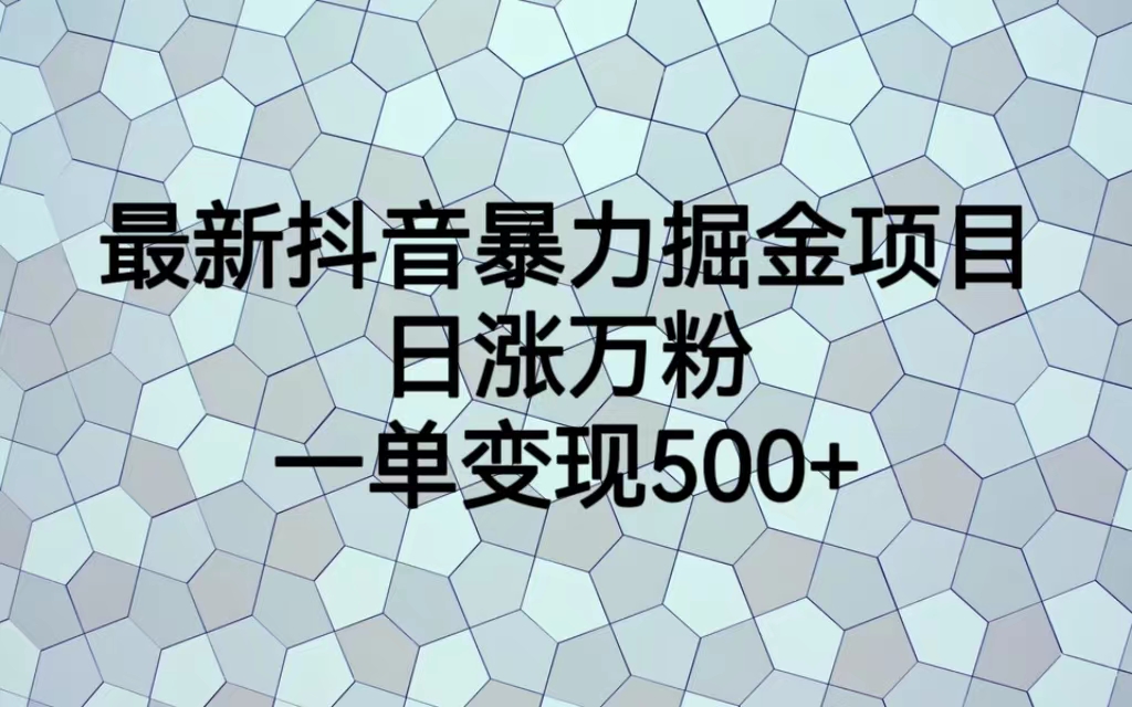 【副业项目6939期】最新抖音暴力掘金项目，日涨万粉，一单变现500+-网赚资源网