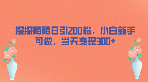 【副业项目7026期】探探陌陌日引200粉，小白新手可做，当天就能变现300+-网赚资源网