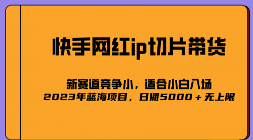 【副业项目7037期】2023爆火的快手网红IP切片，号称日佣5000＋的蓝海项目，二驴的独家授权-网赚资源网