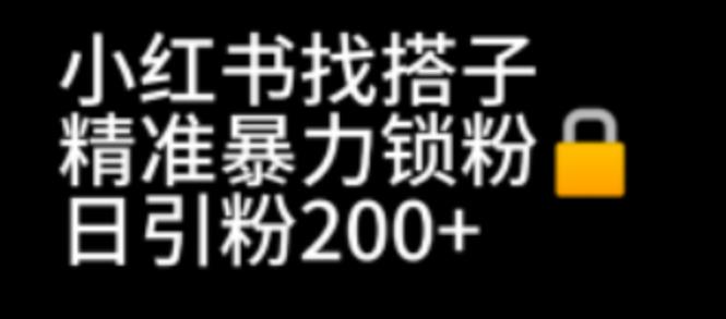 【副业项目7040期】小红书找搭子暴力精准锁粉+引流日引200+精准粉-网赚资源网