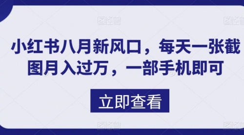 【副业项目7078期】八月新风口，小红书虚拟项目一天收入1000+-网赚资源网
