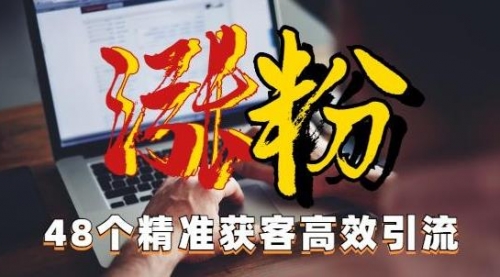 【副业项目7097期】独家分享48个引流绝技，再没粉丝只能怪自己了！-网赚资源网
