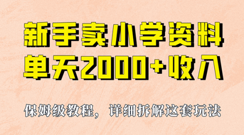 【副业项目7100期】卖小学资料，实现单天2000+，实操项目，保姆级教程+资料+工具-网赚资源网