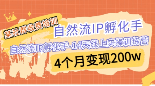 【副业项目7109期】自然流IP孵化手-14天线上实操训练营 4个月变现200w-网赚资源网