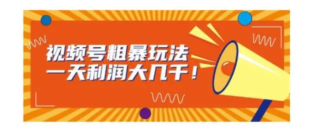 【副业项目7125期】视频号粗暴玩法，一天利润大几千！-网赚资源网