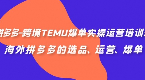 【副业项目7128期】拼多多-跨境TEMU爆单实操运营培训班，海外拼多多的选品、运营、爆单-网赚资源网