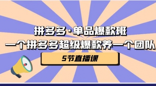 【副业项目第7171期】拼多多·单品爆款班，一个拼多多超级爆款养一个团队-网赚资源网