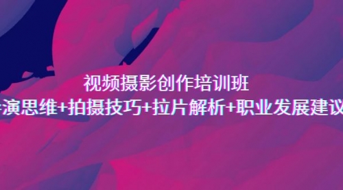 【副业项目7172期】视频摄影创作培训班，导演思维+拍摄技巧+拉片解析+职业发展建议-网赚资源网
