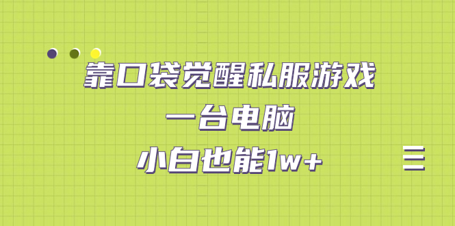 【副业项目7248期】靠口袋觉醒私服游戏，一台电脑，小白也能1w+（教程+工具+资料）-网赚资源网