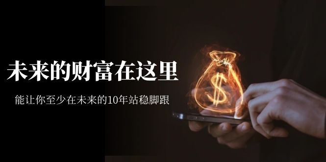 【副业项目7298期】某收费文章《未来的财富在这里》能让你至少在未来的10年站稳脚跟-网赚资源网