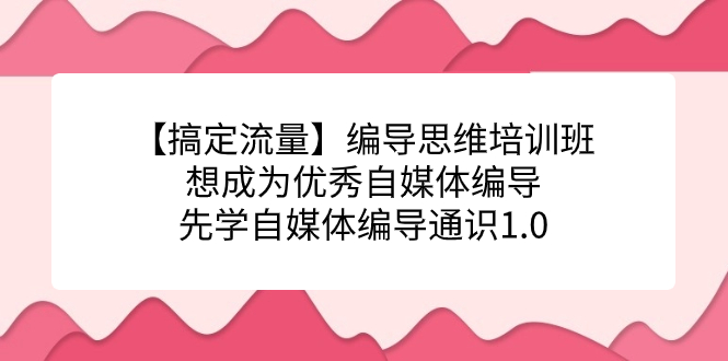【副业项目7456期】编导思维培训班，想成为优秀自媒体编导先学自媒体编导通识1.0-网赚资源网