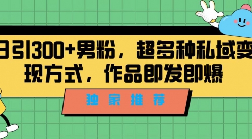 【副业项目7191期】独家推荐！日引300+男粉，超多种私域变现方式-网赚资源网