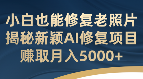 【副业项目7218期】小白也能修复老照片！揭秘新颖AI修复项目-网赚资源网