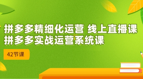 【副业项目7292期】2023年新课-拼多多精细化运营-网赚资源网
