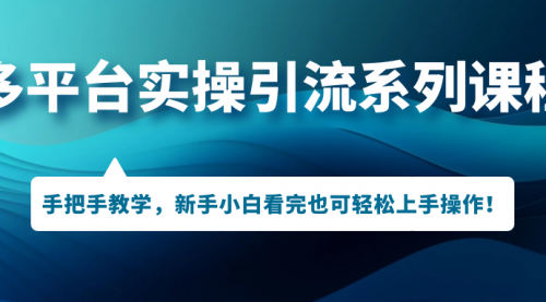 【副业项目7293期】多平台实操引流系列课程，手把手教学，新手小白看完也可轻松上手引流操作！-网赚资源网