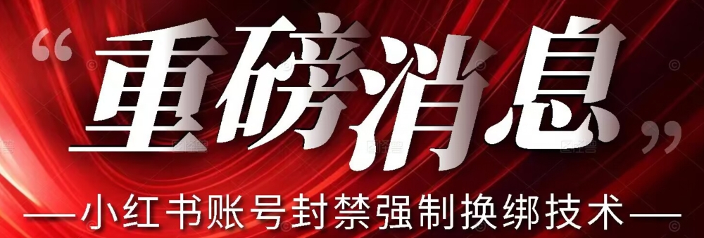 【副业项目7574期】【最新】小红书账号封禁强制换绑技术可日赚300-网赚资源网