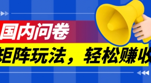 【副业项目7605期】保姆级教程，国内问卷矩阵玩法，轻松赚收益-网赚资源网