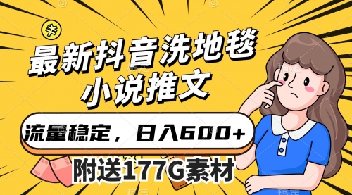 【副业项目7638期】最新抖音洗地毯小说推文，流量稳定，一天收入600（附177G素材）-网赚资源网