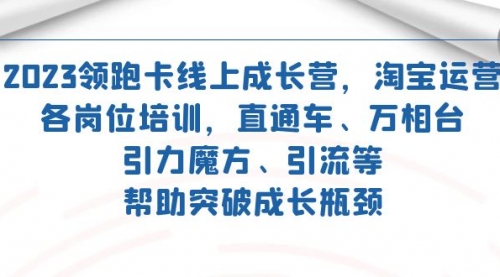 【副业项目7677期】2023领跑·卡 线上成长营 淘宝运营各岗位培训 直通车 万相台 引力魔方 引流-网赚资源网