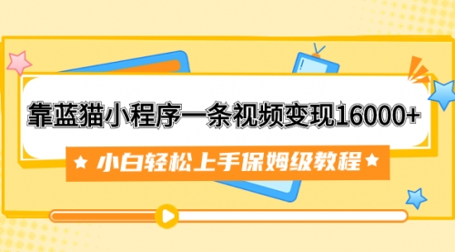 【副业项目7909期】靠蓝猫小程序一条视频变现16000+小白轻松上手保姆级教程（附166G资料素材）-网赚资源网