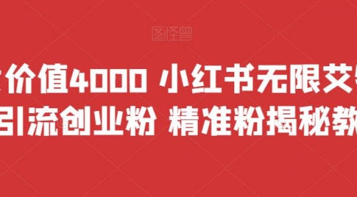 【副业项目7956期】价值4000 小红书无限艾特暴力引流创业粉 精准粉揭秘教程-网赚资源网
