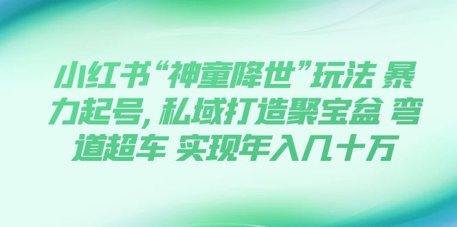 【副业项目7983期】小红书“神童降世”玩法 暴力起号,私域打造聚宝盆-网赚资源网