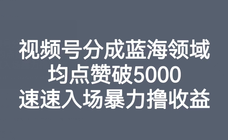 【副业项目8023期】视频号分成蓝海领域，均点赞破5000，速速入场暴力撸收益-网赚资源网