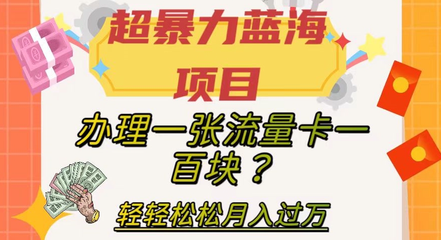 【副业项目8024期】超暴力蓝海项目，办理一张流量卡一百块？轻轻松松月入过万，保姆级教程【揭秘】-网赚资源网