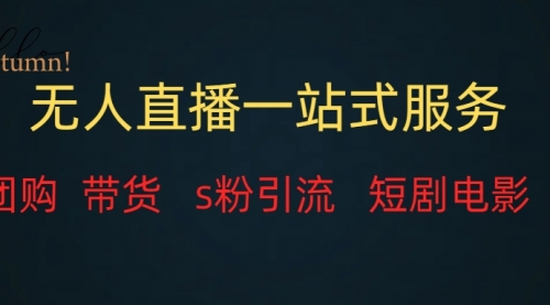 【副业项目7968期】无人直播全套服务，变现稳定-网赚资源网