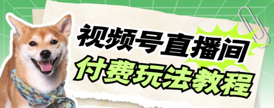 【副业项目7973期】视频号美女付费无人直播，轻松日入500+-网赚资源网