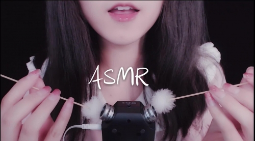 【副业项目8108期】靠搬运ASMR视频，引流精准粉，私域单日变现500+-网赚资源网