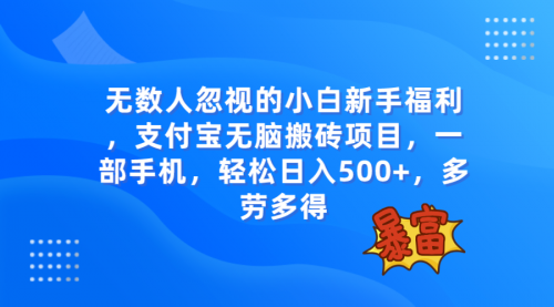 【副业项目8111期】无数人忽视的项目，支付宝无脑搬砖项目，一部手机即可操作，轻松日入500+-网赚资源网