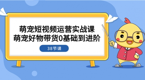 【副业项目8175期】萌宠·短视频运营实战课：萌宠好物带货0基础到进阶（38节课）-网赚资源网