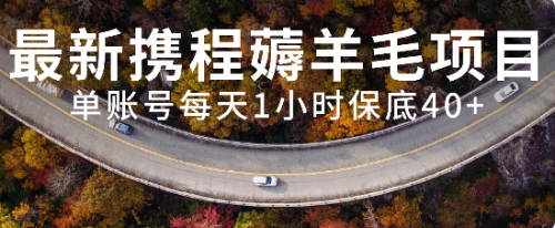 【副业项目8232期】最新携程薅羊毛项目，单账号每天1小时保底收益40+，可矩阵操作-网赚资源网